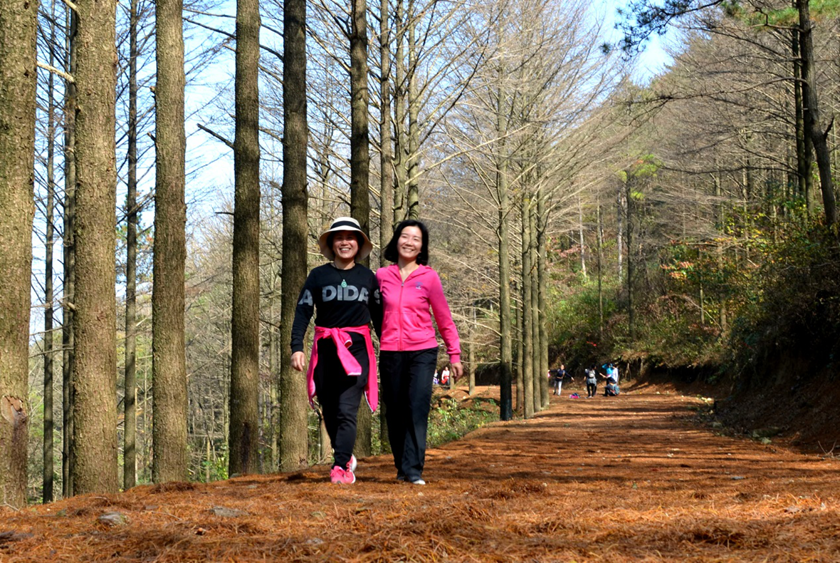 1543197544298745.png 毅行3_副本.png