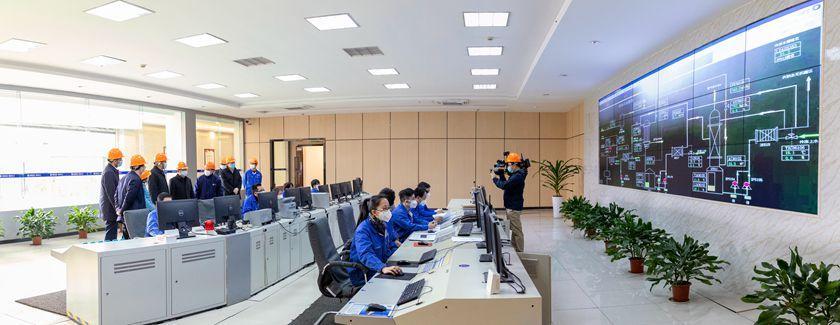 1580524550372122.jpg 3.jpg